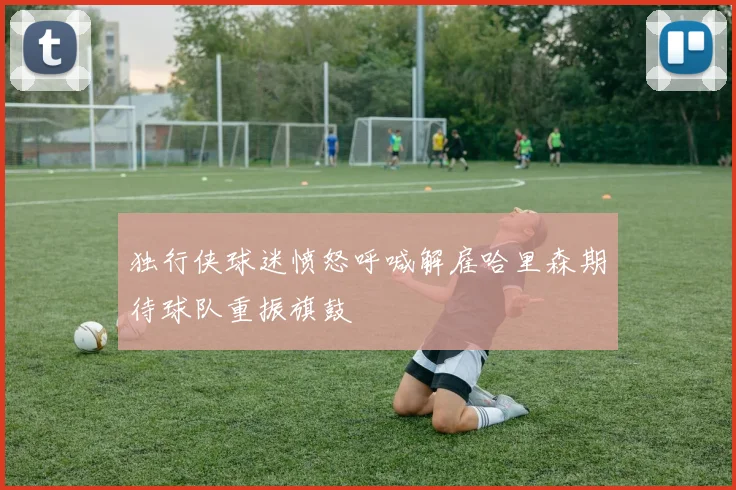 独行侠球迷愤怒呼喊解雇哈里森期待球队重振旗鼓