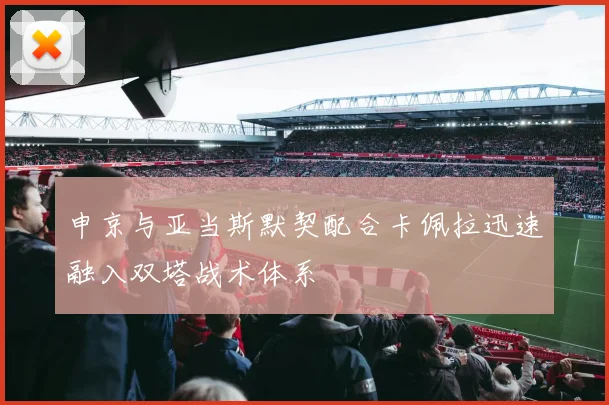 申京与亚当斯默契配合卡佩拉迅速融入双塔战术体系