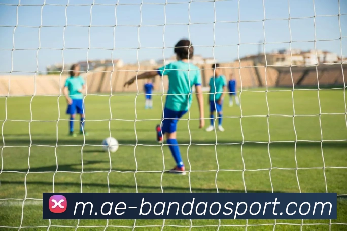 半岛足球体育APP 高清赛事图